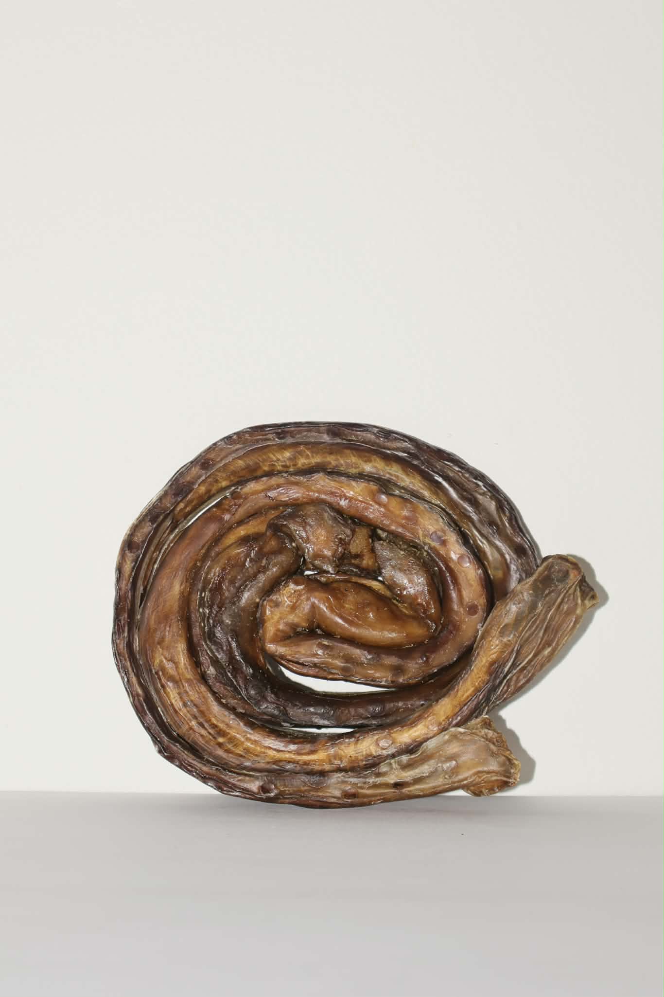 Brioche d'oesophage de boeuf