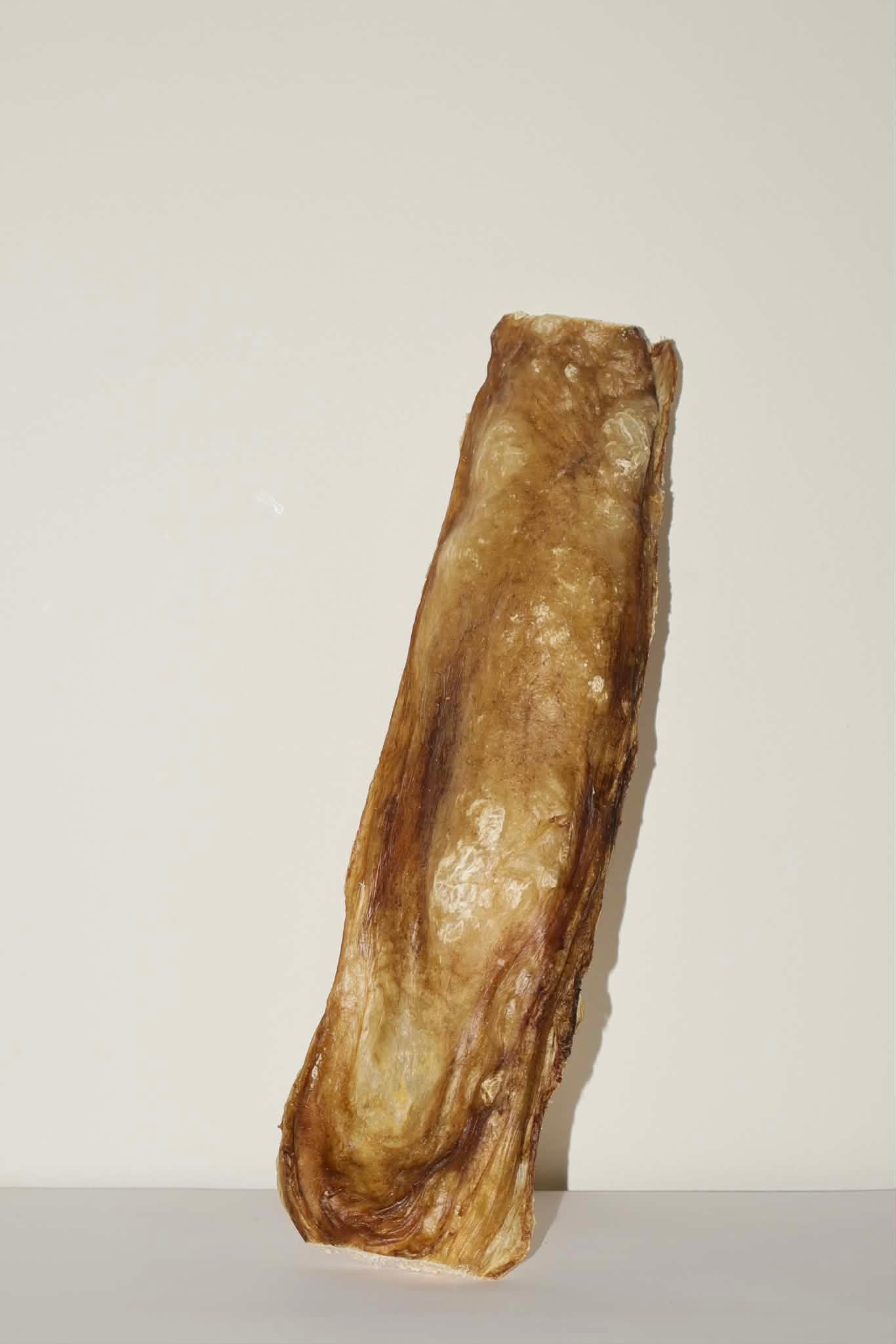 Lanière de vessie de boeuf 10po