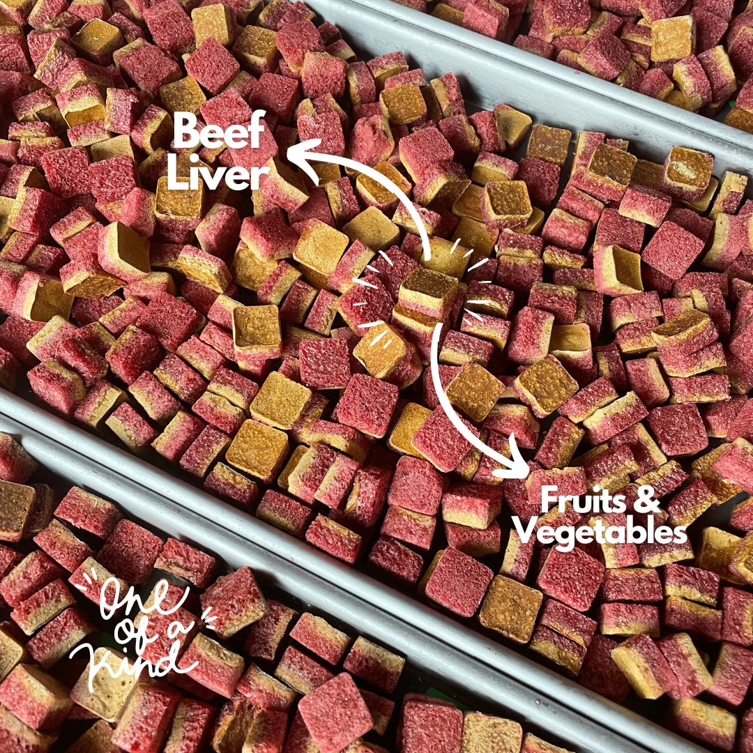 RED BITES